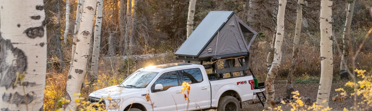 A white pickup truck with a rooftop tent is parked among tall trees in a forest during autumn, with golden leaves on the ground and sunlight filtering through the branches.