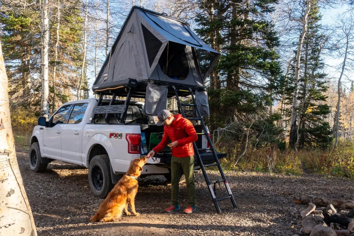 A person in a red jacket pets a golden retriever next to a white pickup truck with a rooftop tent, surrounded by trees at a campsite.